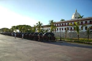 Cartagena embellece su Centro Histórico con miles de plantas nativas y un nuevo sistema de riego