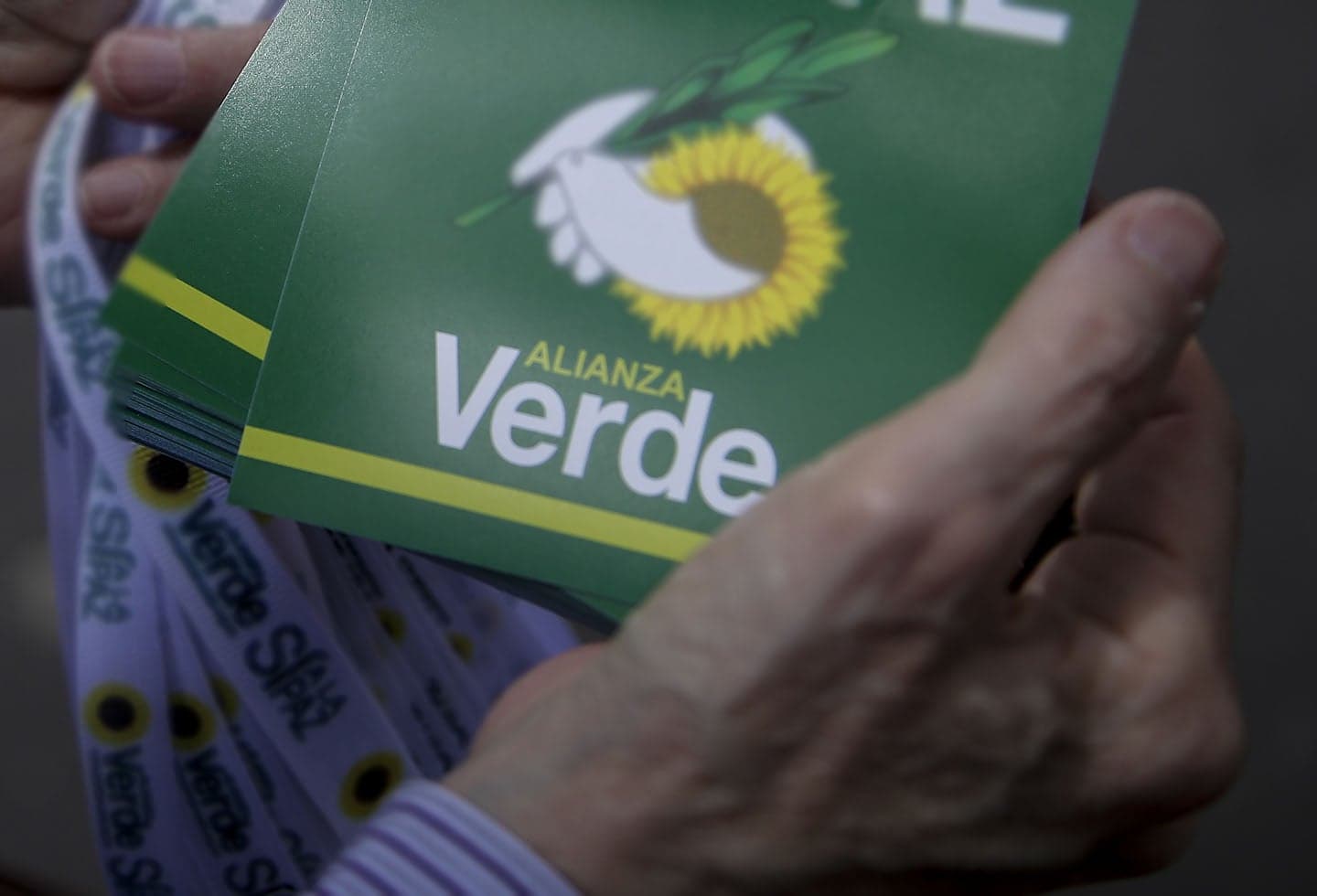 Verdes y Cepeda cierran acuerdo: rechazo a reelección y constituyente