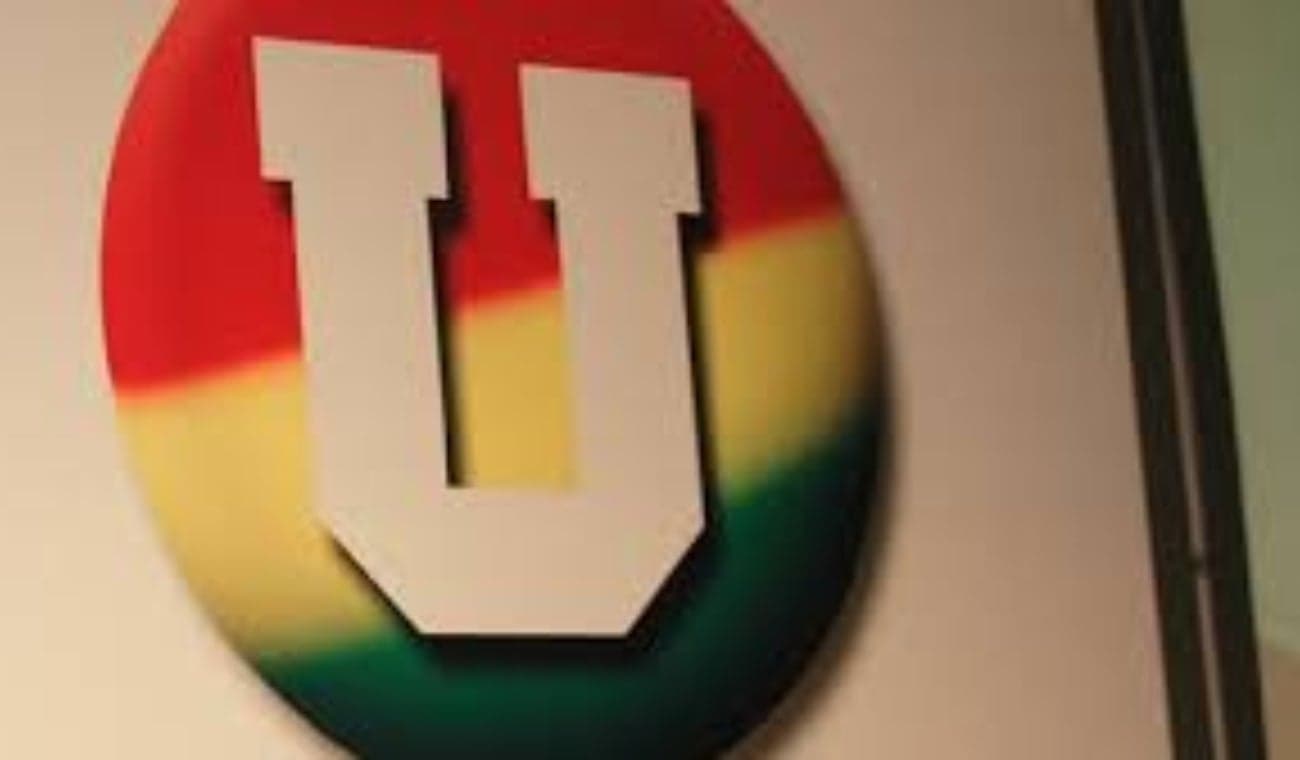 Partido de la U se define hoy: mayoría podría respaldar a Paloma Valencia