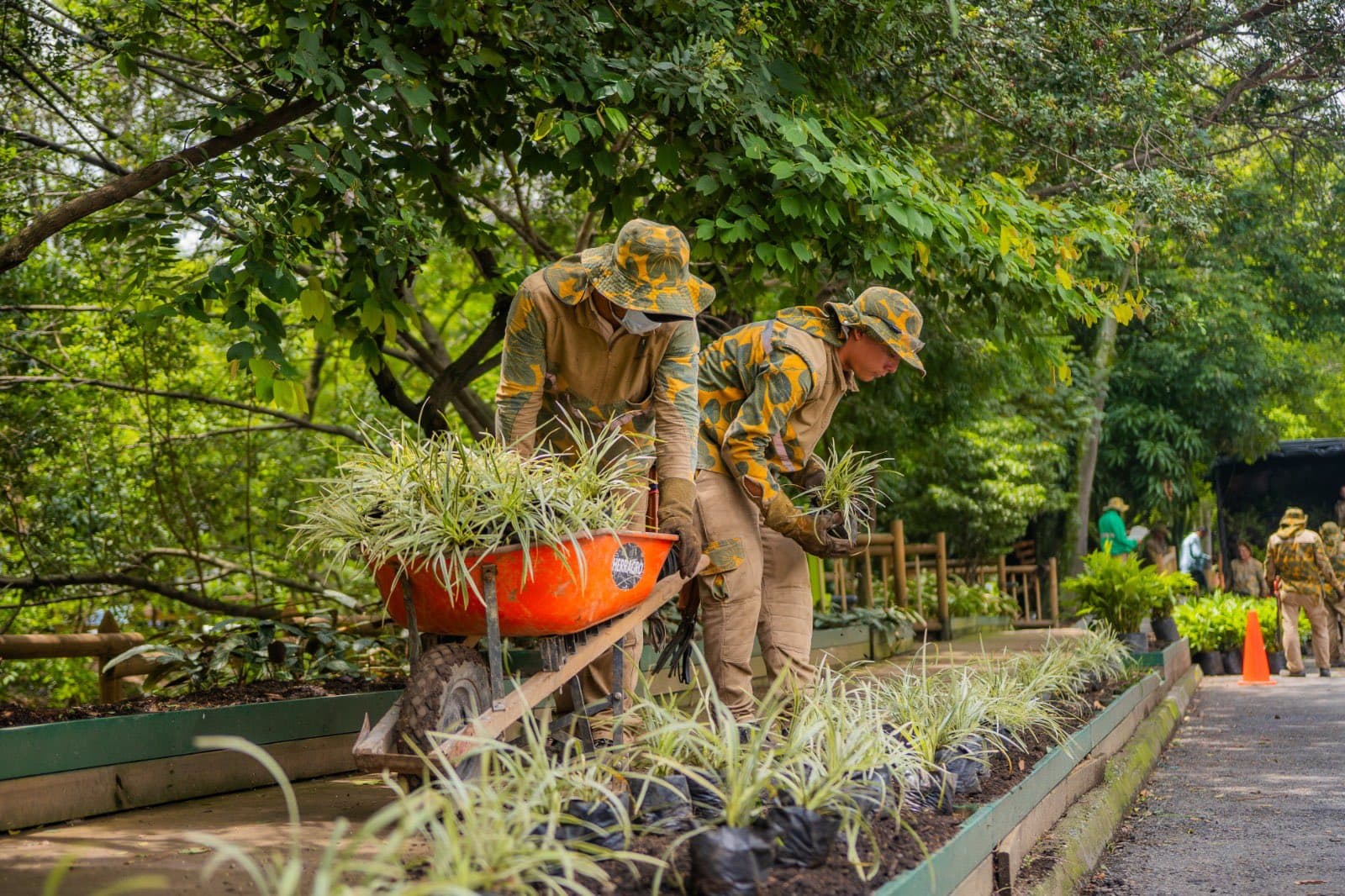 Medellín entre las 10 ciudades más verdes del mundo: entra al top 8 de Time Out