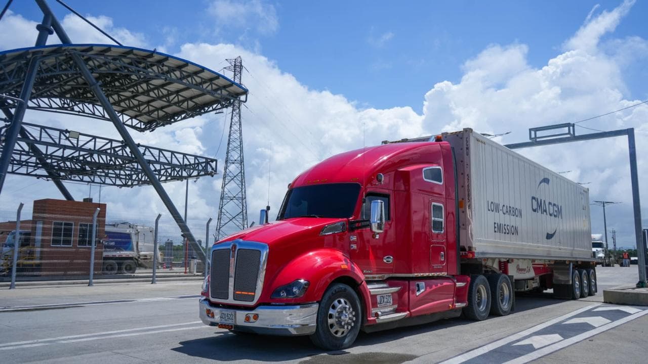 Puerto Antioquia abre camino para exportar aguacate Hass a Europa con menos tiempo y costo