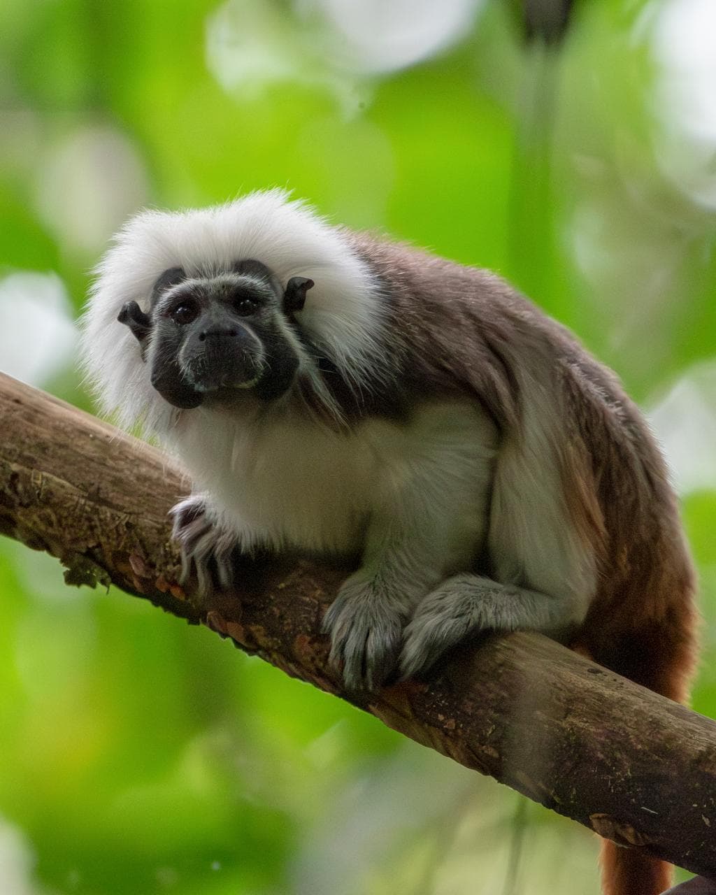 Valle de Aburrá: iniciativas concretas para cuidar la Tierra más allá de las palabras