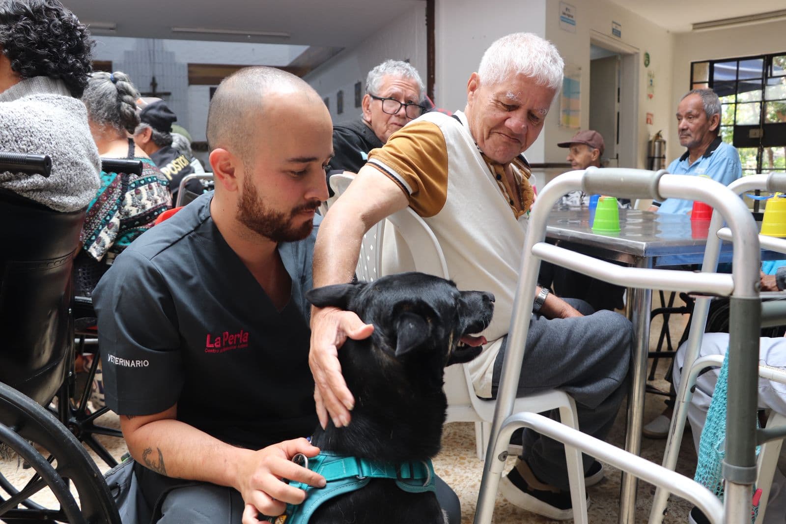 Perros rescatados llevan terapia y amor a adultos mayores en Bogotá