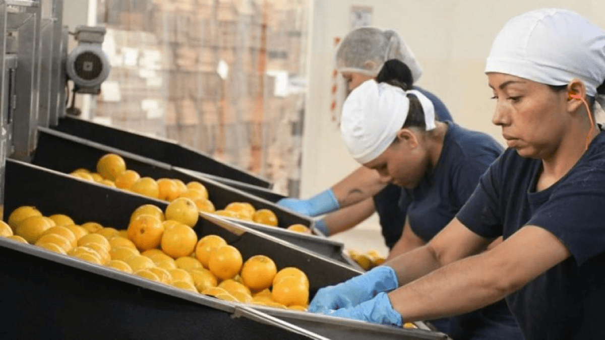 Empleo privado sufre su peor enero en 15 años: cayó 7,3% pese a desempleo general a la baja