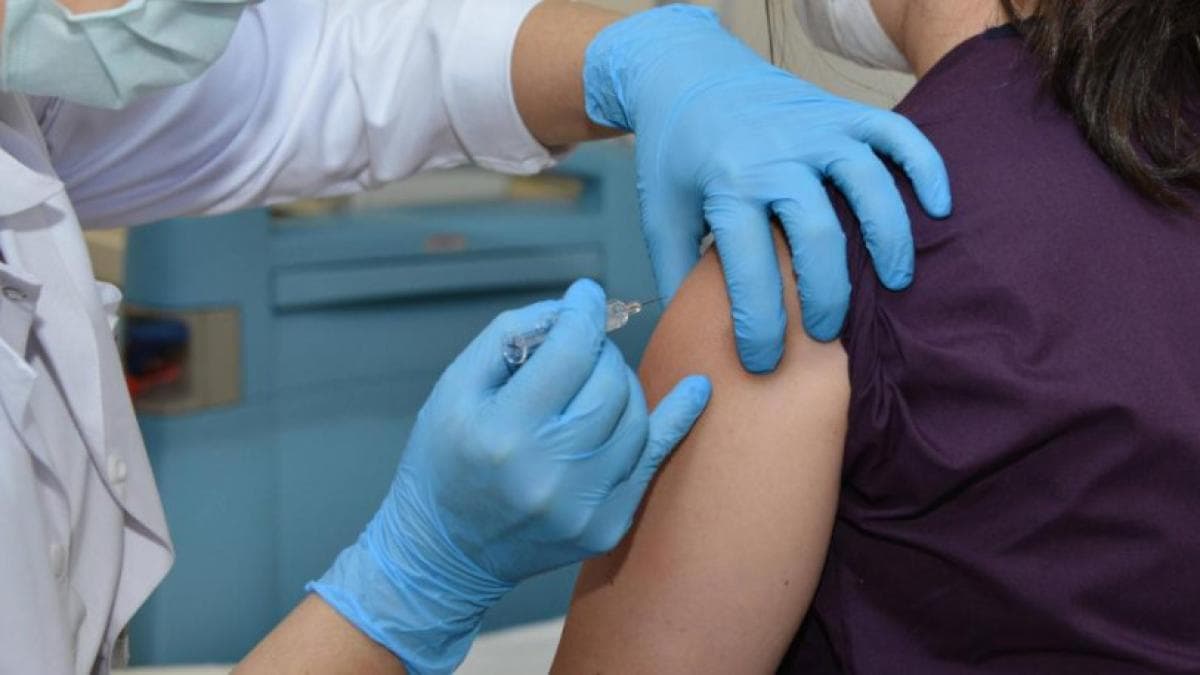 Fiebre amarilla en Colombia: 81 muertos en dos años, el Ministerio identifica zonas críticas