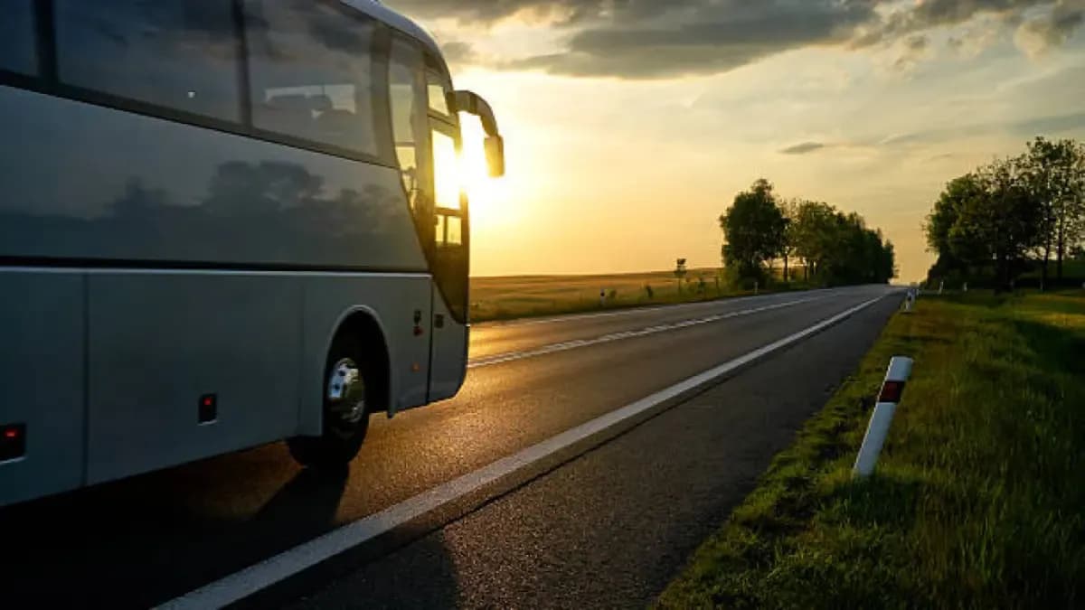 Semana Santa 2026: más de 4 millones de colombianos se irán en bus en lugar de avión