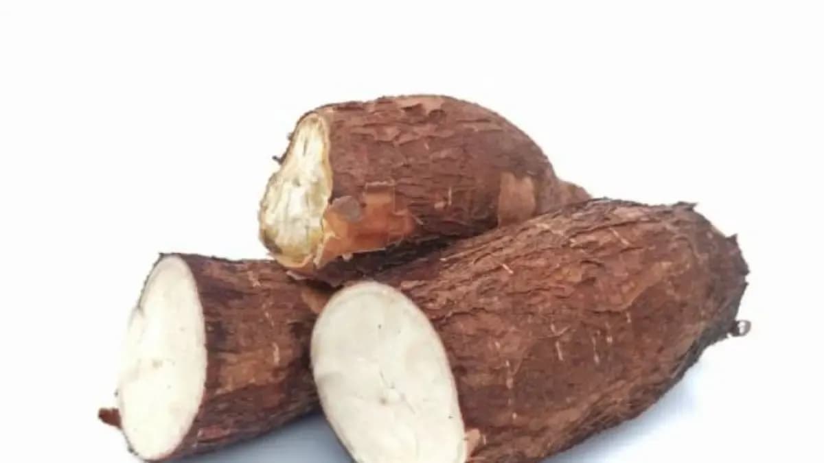 Las lluvias en Córdoba disparan precios de yuca y plátano en la costa caribeña