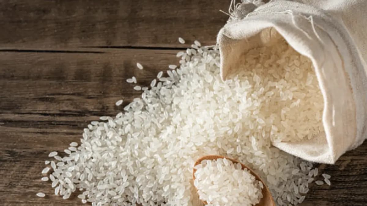 Lluvias amenazan cosecha de arroz: gobierno advierte posible desabastecimiento en primer semestre