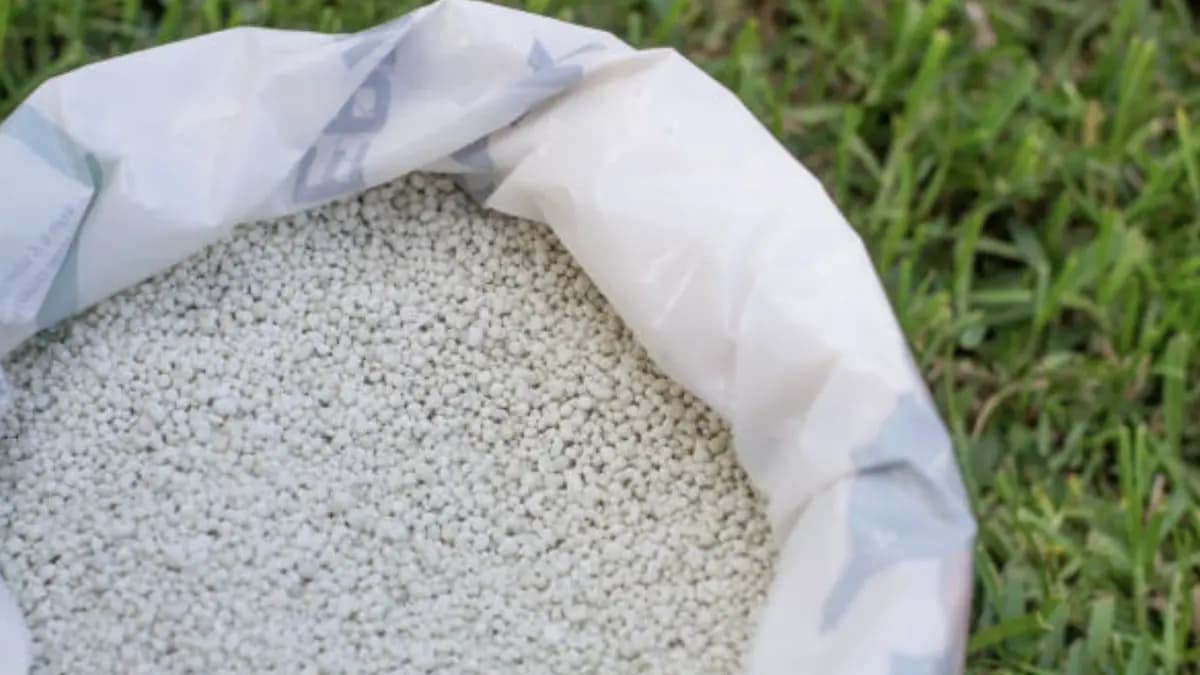 La crisis en el estrecho de Ormuz amenaza los precios de comida en Colombia y el mundo