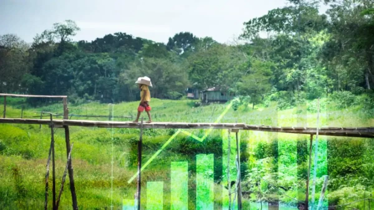 El FNG rompió sus propias metas: casi un millón de créditos garantizados en 2025