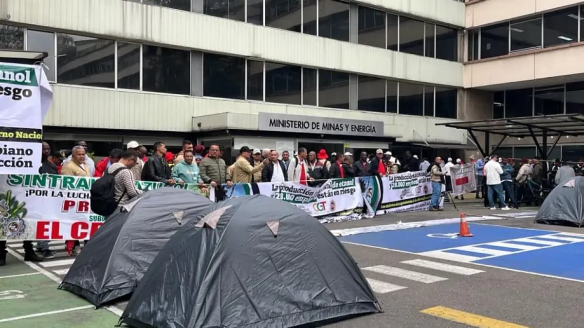 Gobierno crea mesas de diálogo con sectores de caña y palma tras protestas por empleo