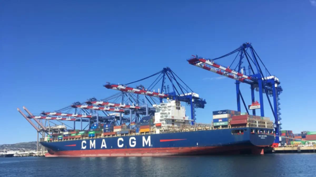 Colombia pierde competitividad: operaciones de comercio exterior demoran más del doble que en el resto del mundo