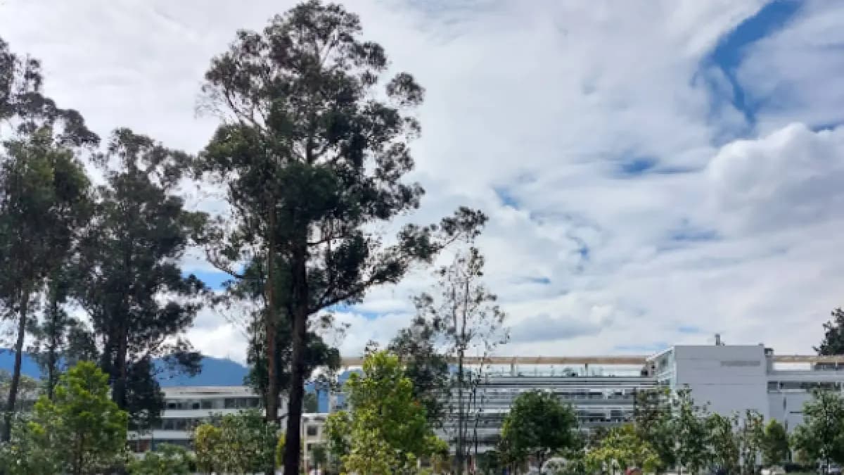 Universidad Nacional en crisis: la batalla judicial por la rectoría que paraliza la institución