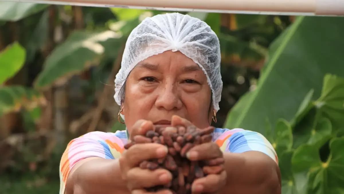 Cartagena recibe cumbre global sobre tierra y alimentos: qué significa para Colombia