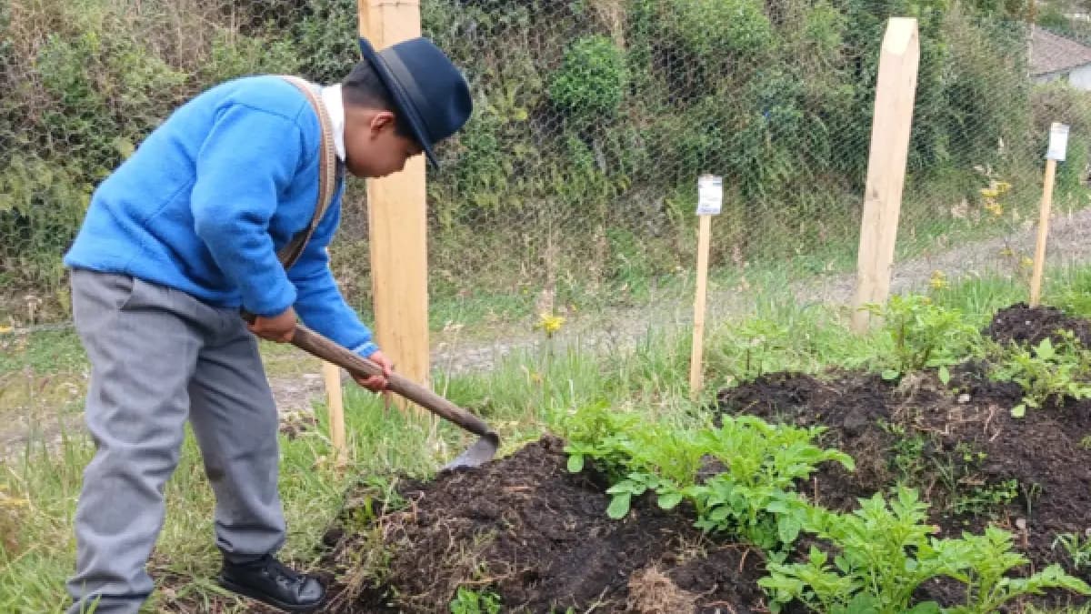Cartagena acoge conferencia global sobre reforma agraria mientras Colombia enfrenta crisis climática
