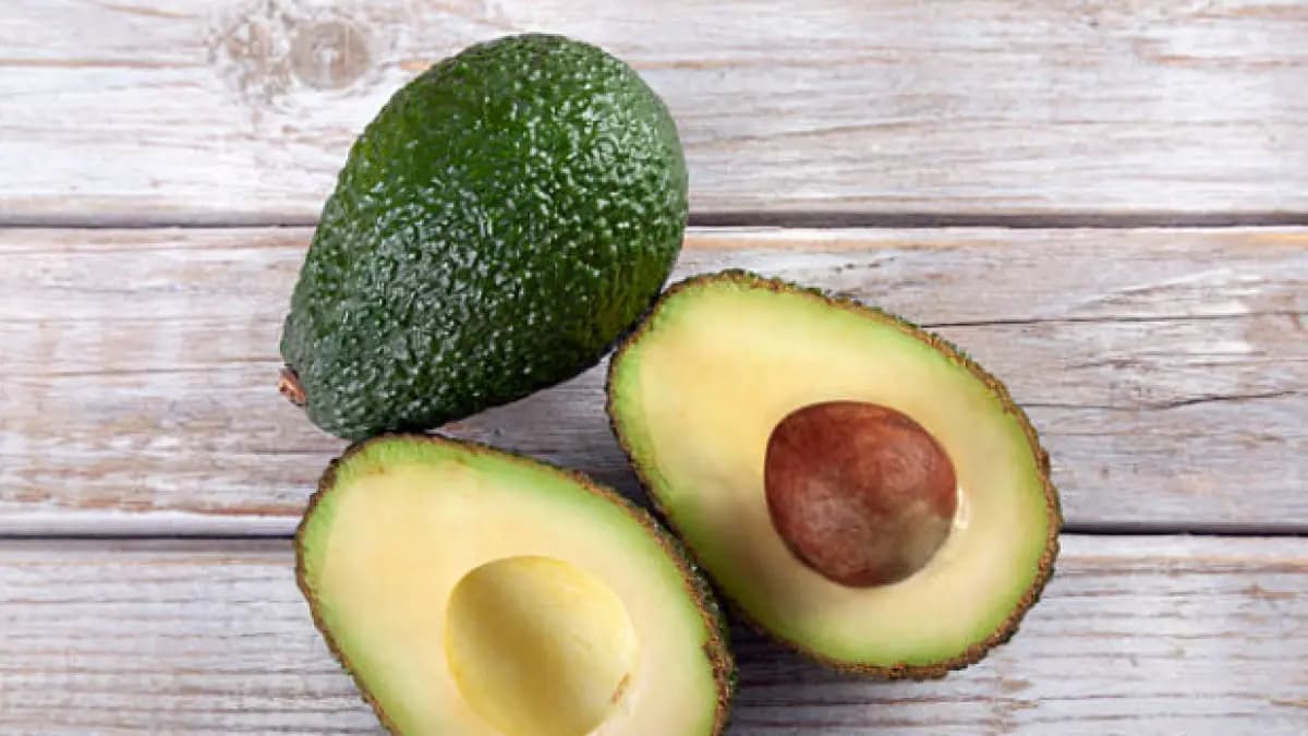 Aguacate Hass: el fruto que disparó exportaciones a US$375 millones con crecimiento de 21%