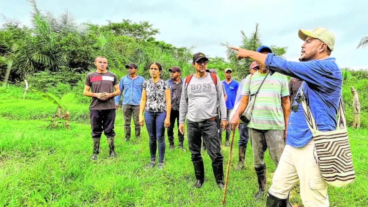 Falta legalizar tierras: el obstáculo que frena la inversión agrícola en Colombia