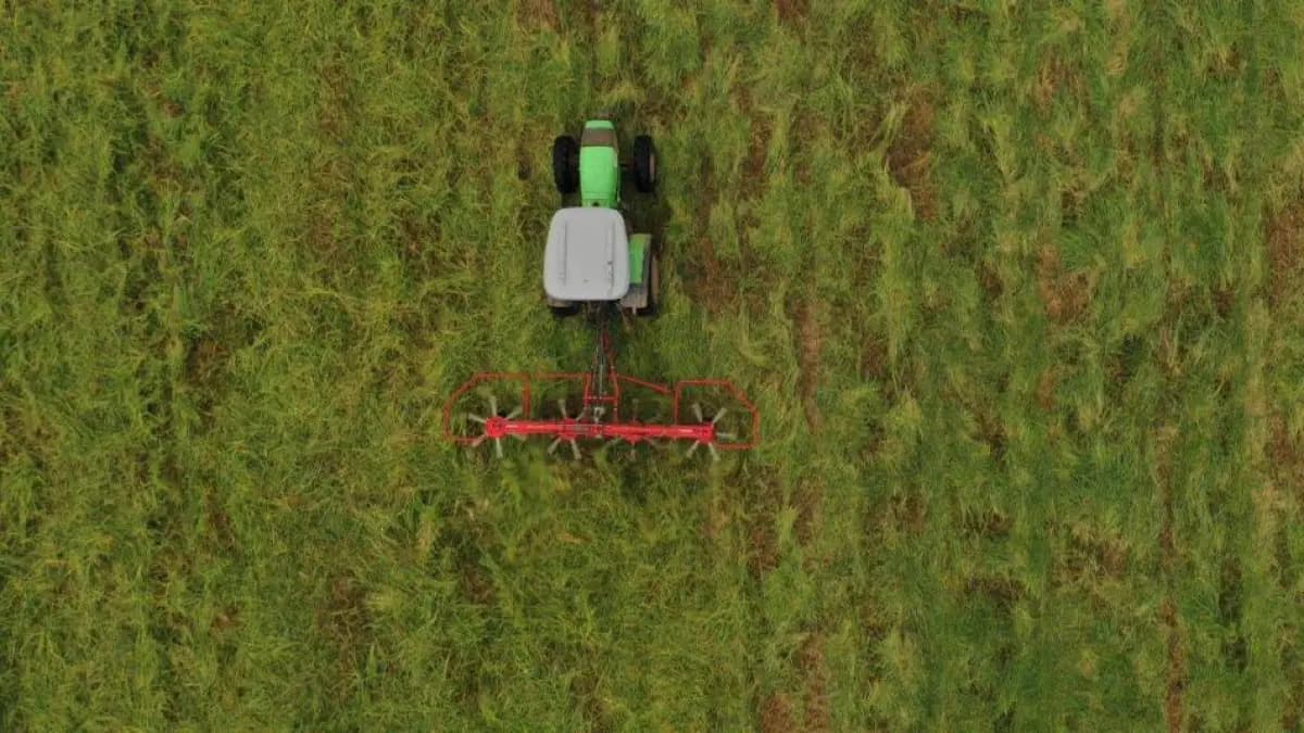 Más de 3 de cada 10 campesinos colombianos viven con miedo de perder sus tierras