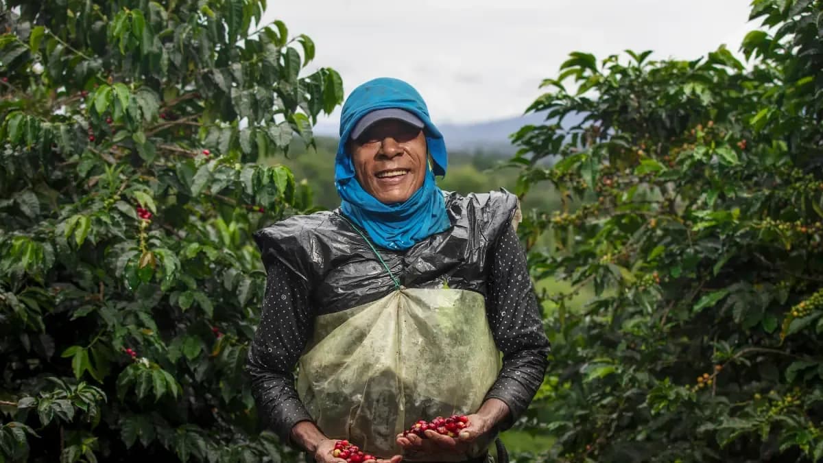 Gobierno invertirá 18 billones de pesos en reforma agraria durante la próxima década