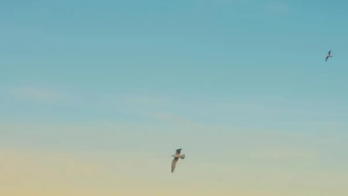 Motos en Colombia: 109.000 unidades vendidas en febrero con crecimiento del 36%