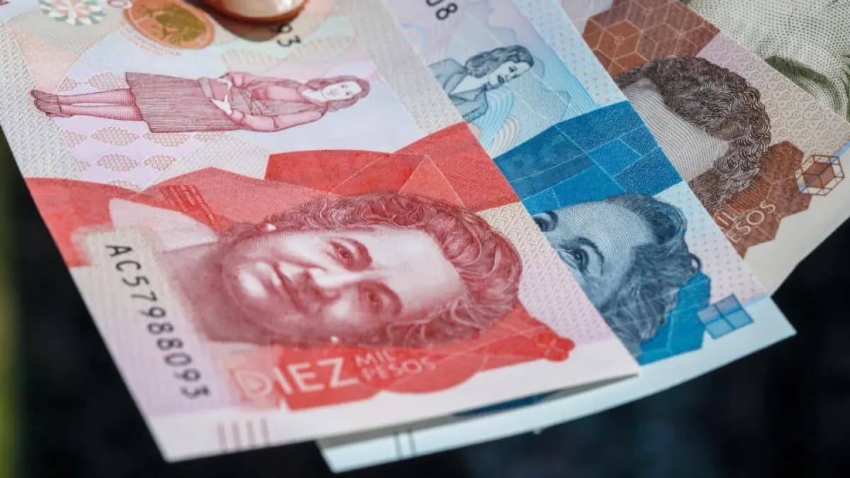 Gremios advierten que nuevos decretos de emergencia reciclan medidas rechazadas y favorecen a operadores ilegales