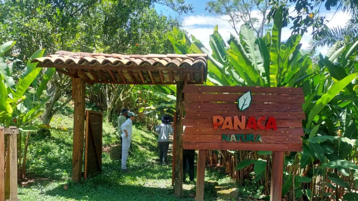 Anla autoriza proyecto turístico en Quindío con compensaciones ambientales