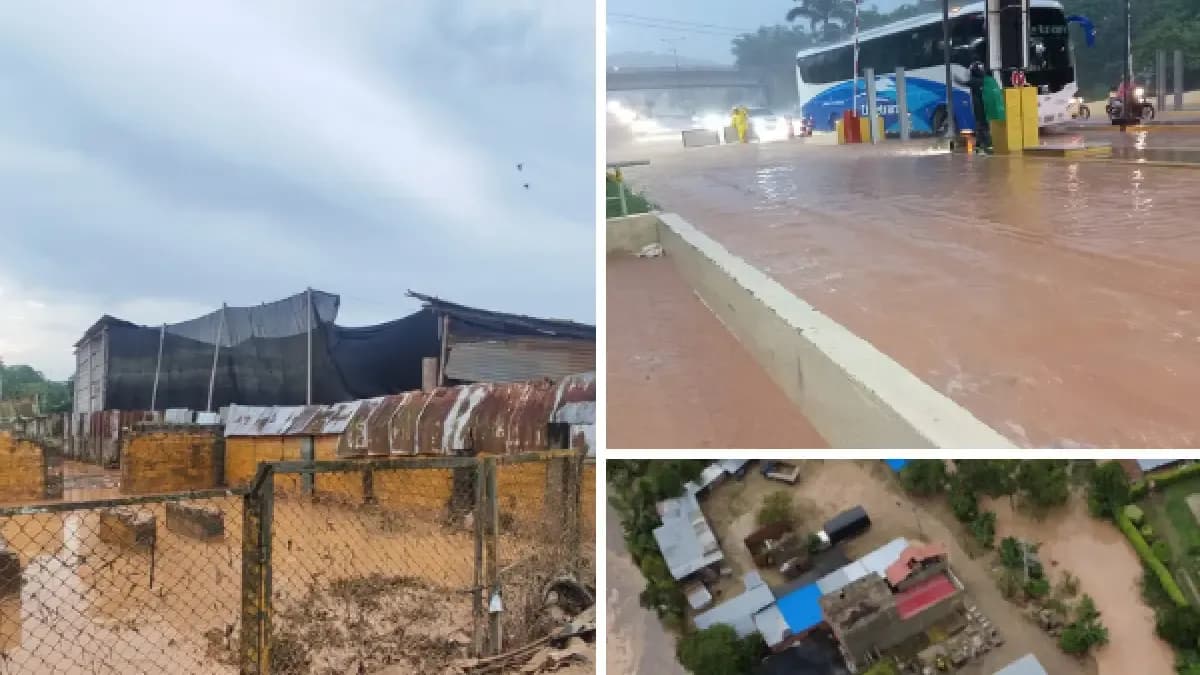 Contraloría alerta sobre la capacidad del Estado para ejecutar bien los recursos de la Emergencia Económica