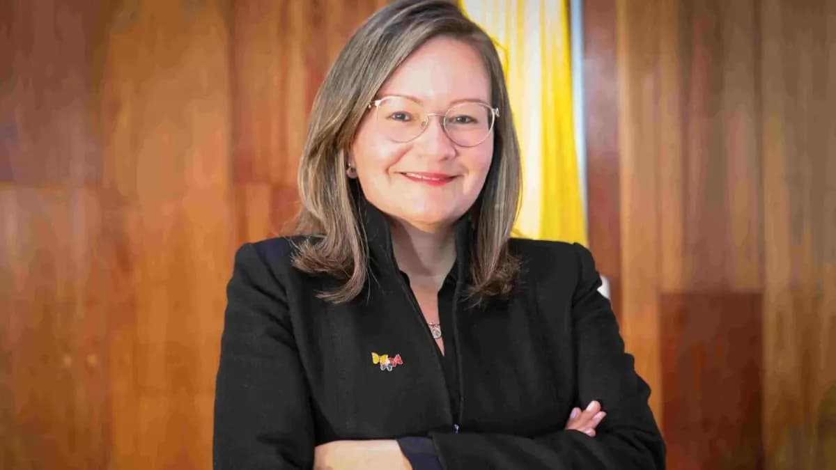 Rusinque vuelve a sonar para la SIC tras anulación judicial: el Gobierno reactiva su hoja de vida