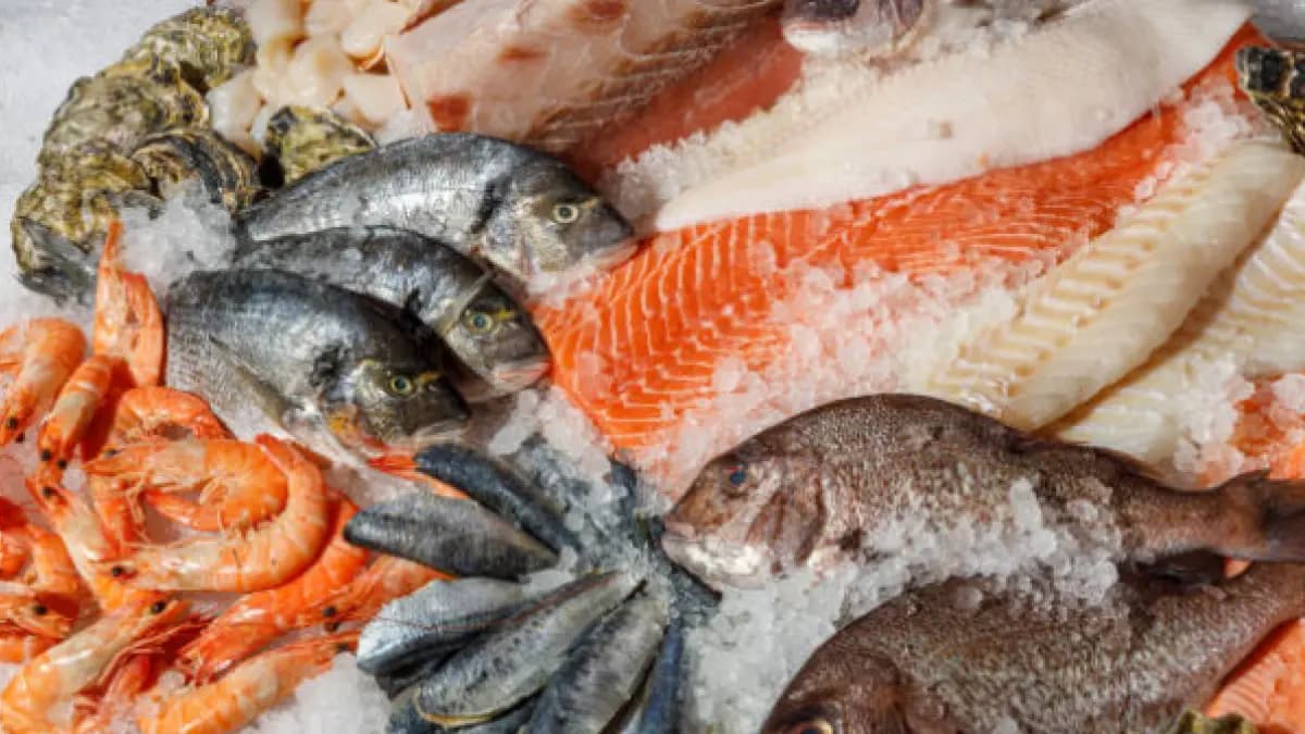 Semana Santa sin alzas: pescado abundante pero productores pierden con precios estables