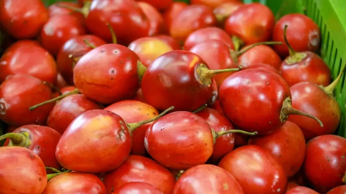 Papa y tomate encarecen la canasta: alimentos frescos vuelven a presionar la inflación en marzo