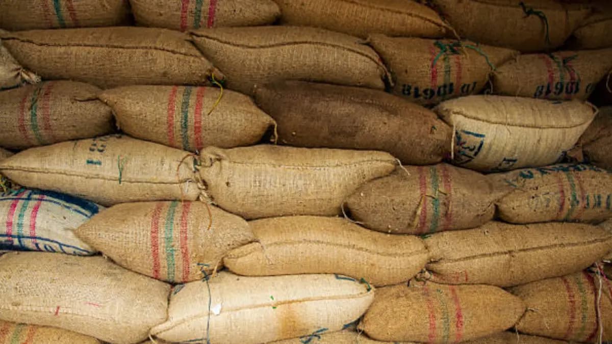 Café colombiano en encrucijada: sequía y revaluación amenazan mientras crece la demanda global