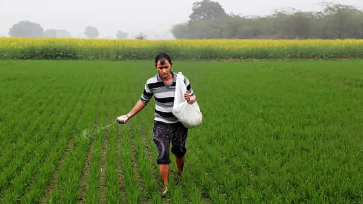 Gobierno invierte $140.000 millones para frenar que los fertilizantes caros encarezcan más la comida