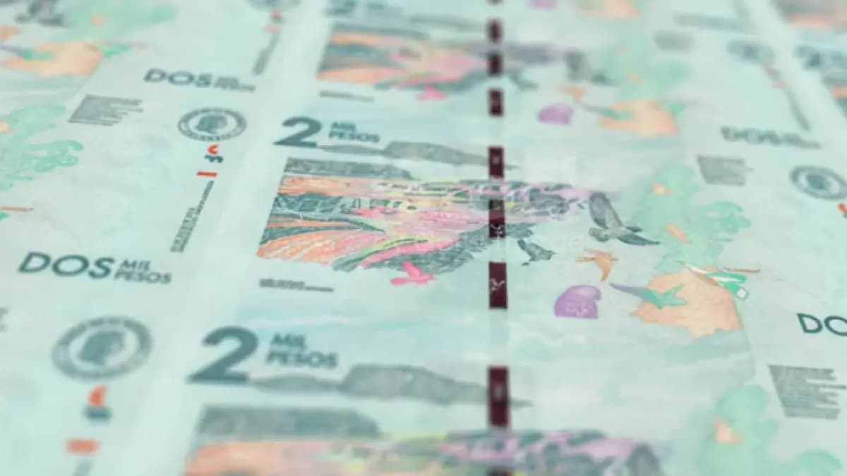 Bogotá avisa: quedan días para pagar el ICA y evitar multas