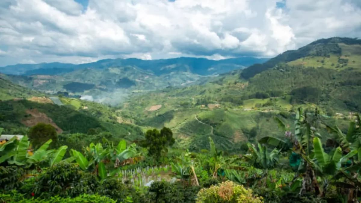 El campo colombiano tiembla por los nuevos avalúos: impuestos más altos amenazan la rentabilidad agrícola