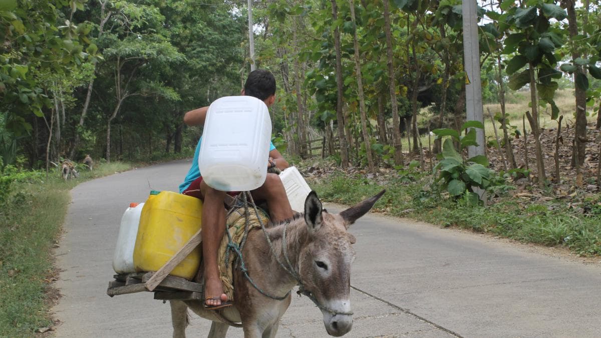 El Niño llegará en septiembre: alertan por sequía y posibles alzas en tarifas de energía