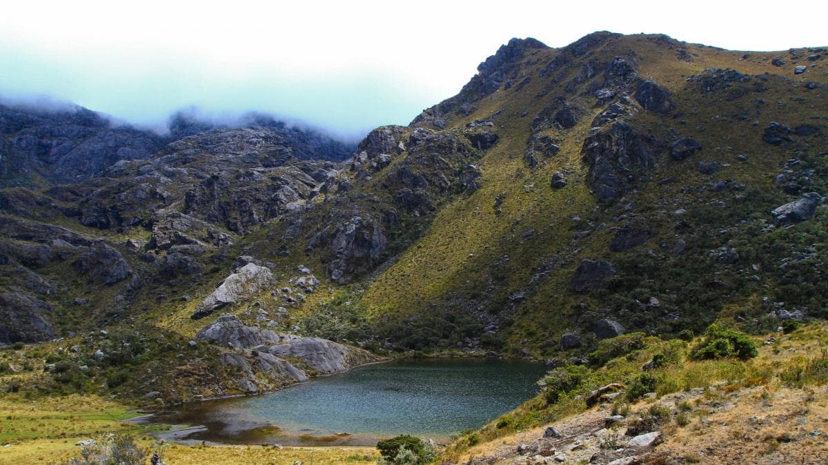 Procuraduría y Defensoría denuncian retrasos que favorecen minería ilegal en páramo de Santurbán