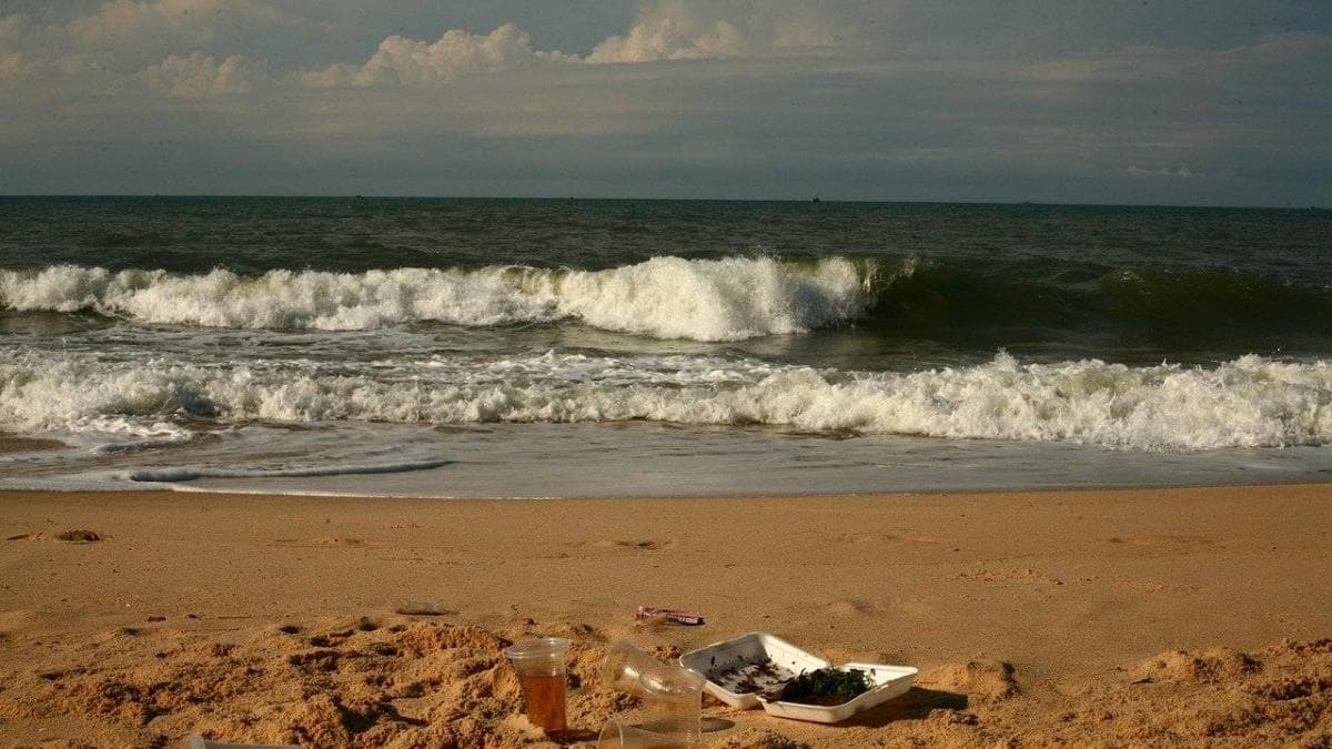 Bacterias marinas trabajan en equipo para descomponer plásticos: descubrimiento del MIT