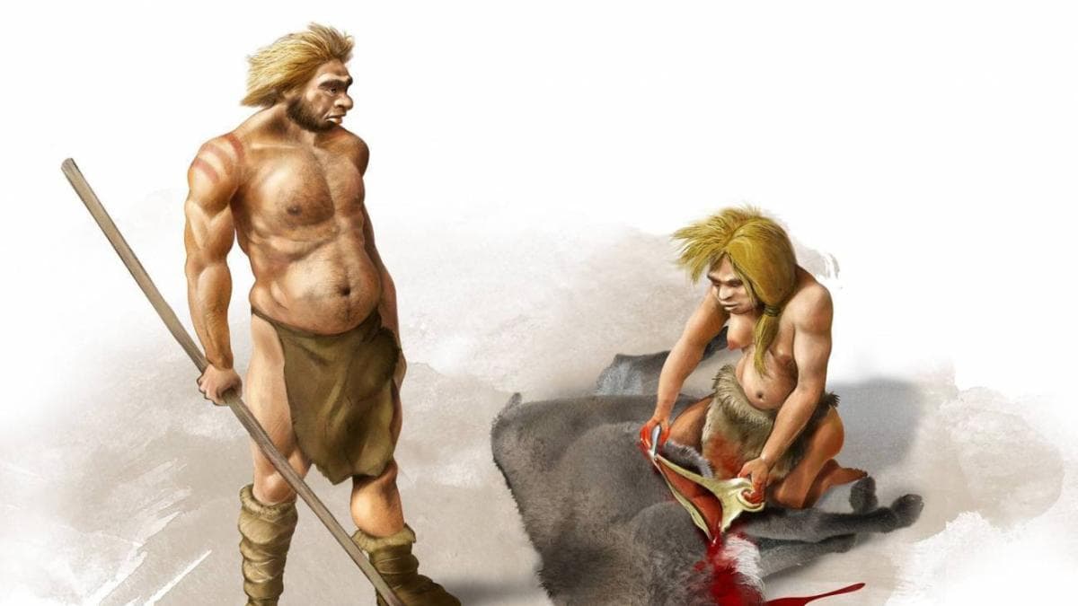 El mestizaje con neandertales favoreció a varones de esa especie con mujeres humanas, revela estudio