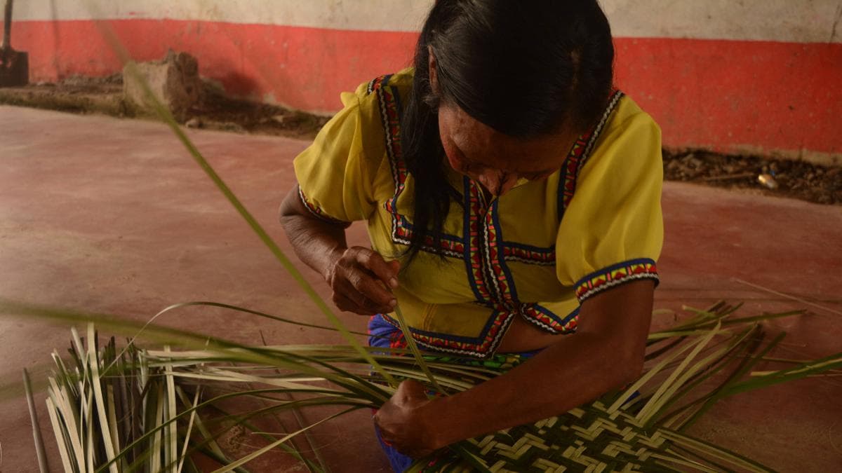 Artesanos de Colombia: quedan días para inscribirse en convocatoria con 40 mil cupos