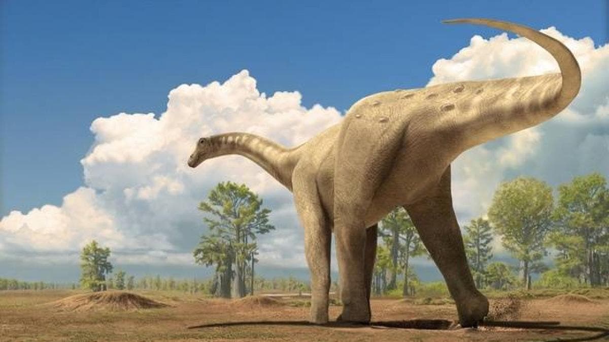 Descubren en la Antártida el primer hueso de dinosaurio: estaba olvidado en un cajón hace 40 años