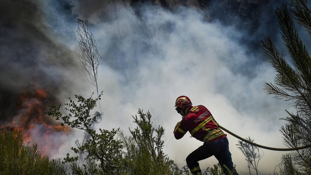 Marzo de 2026 fue el cuarto mes más cálido registrado y el océano alcanza niveles casi récord