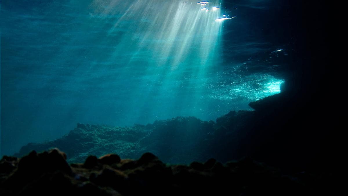 Océano alcanza temperaturas récord en junio: científicos alertan sobre riesgos irreversibles