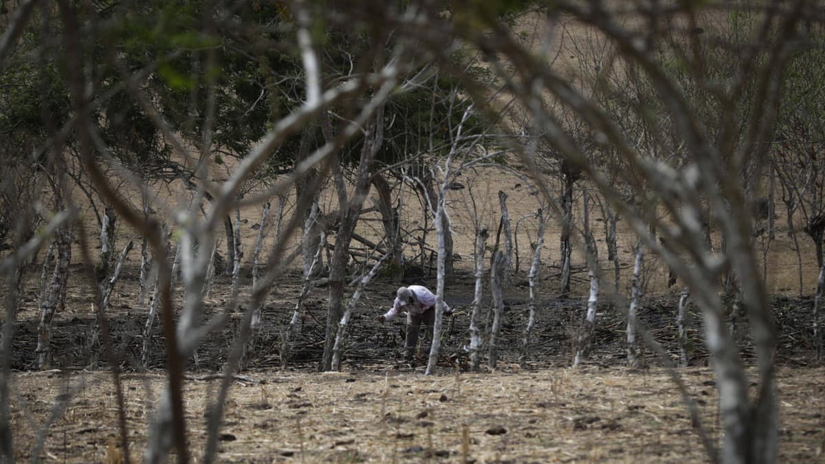 Uno de cada cinco colombianos abandonó sus acciones climáticas, revela estudio de Ipsos