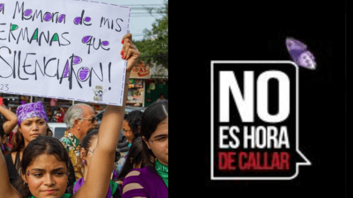 ONU alerta por amenazas contra defensora de derechos humanos en Valle del Cauca