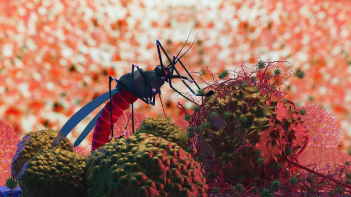 Malaria en Colombia: diagnosticar a tiempo es clave para evitar complicaciones graves