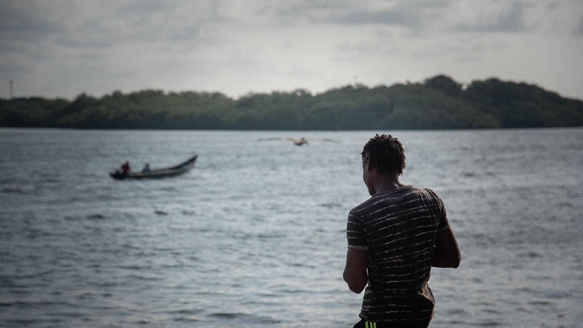 Proyectos ambientales REDD+ generan conflictos en comunidades indígenas y campesinas de Colombia