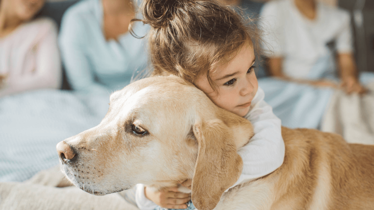 Lo que parece alegría en tu perro podría ser ansiedad que daña su corazón
