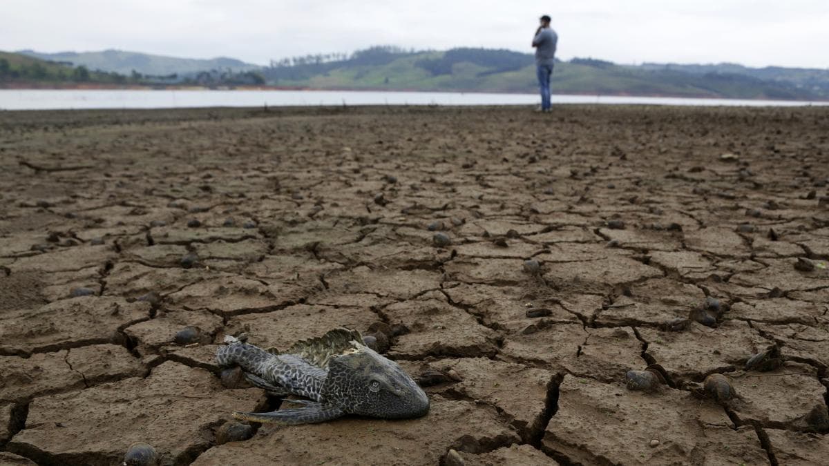 Sequía se agravará en Colombia entre junio y agosto, alerta el Ideam por posible El Niño fuerte