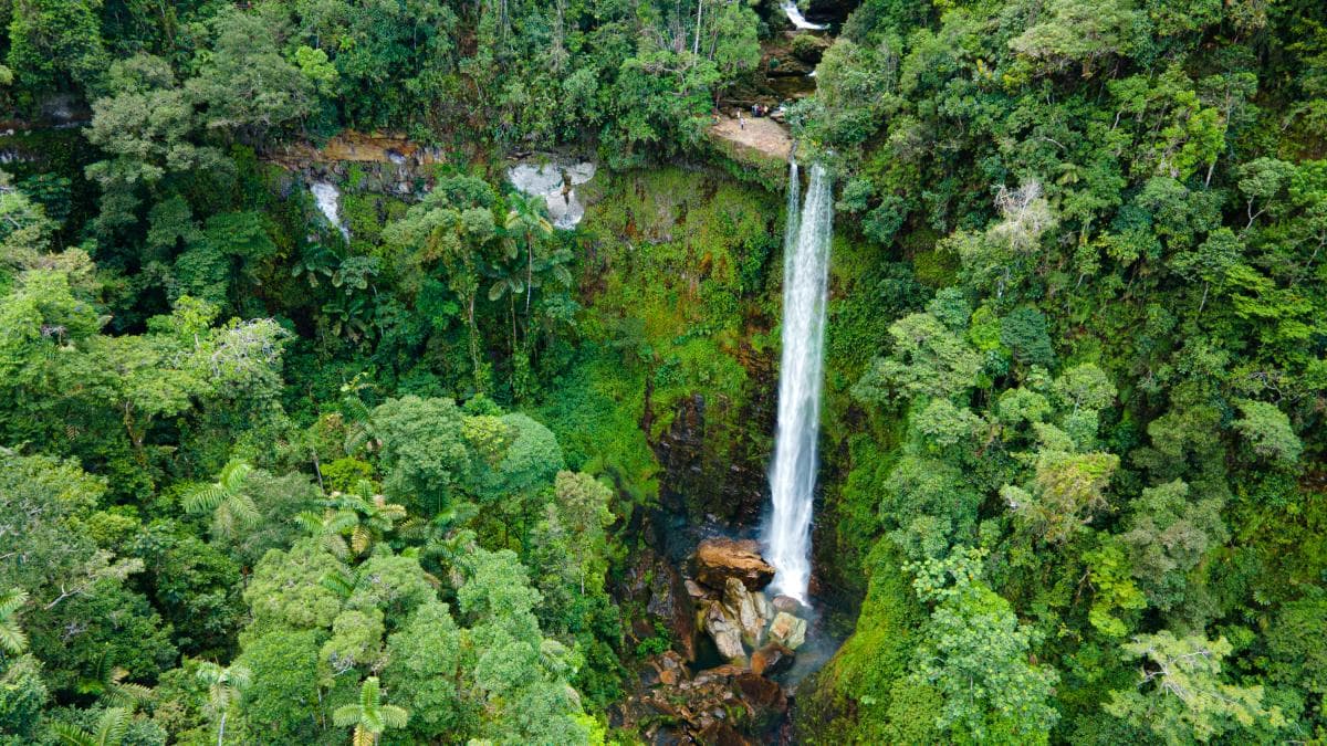 Colombia lanza programa europeo de turismo de naturaleza para fortalecer pequeños negocios