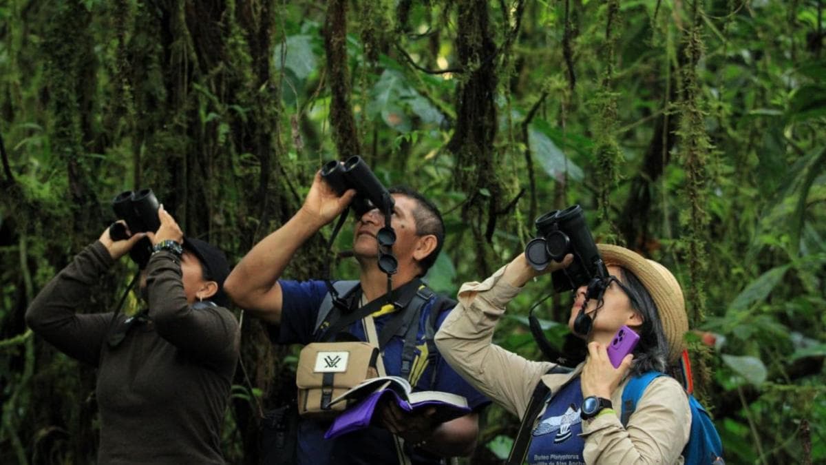 Colombia busca batir récord en Global Big Day 2026: jornada de ciencia ciudadana en torno a las aves